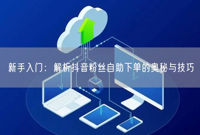 新手入门：解析抖音粉丝自助下单的奥秘与技巧