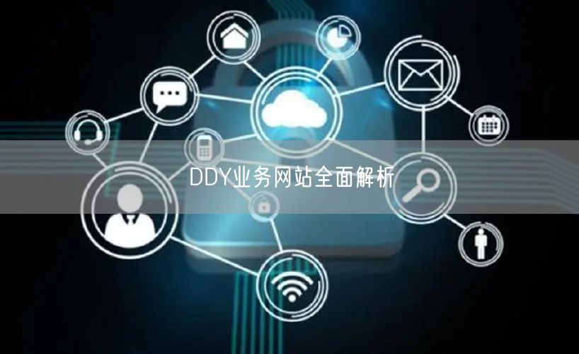 DDY业务网站全面解析