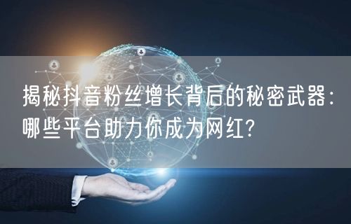 揭秘抖音粉丝增长背后的秘密武器：哪些平台助力你成为网红?