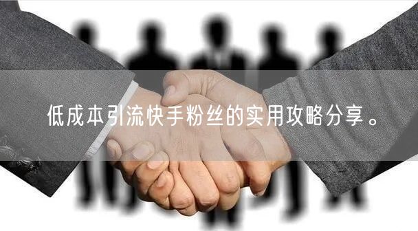 低成本引流快手粉丝的实用攻略分享。