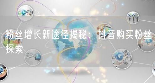 粉丝增长新途径揭秘：抖音购买粉丝探索