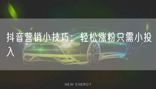 抖音营销小技巧：轻松涨粉只需小投入