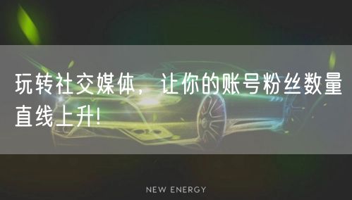 玩转社交媒体，让你的账号粉丝数量直线上升!