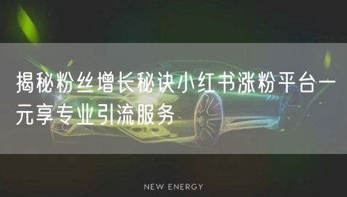 揭秘粉丝增长秘诀小红书涨粉平台一元享专业引流服务