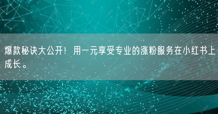 爆款秘诀大公开！用一元享受专业的涨粉服务在小红书上成长。