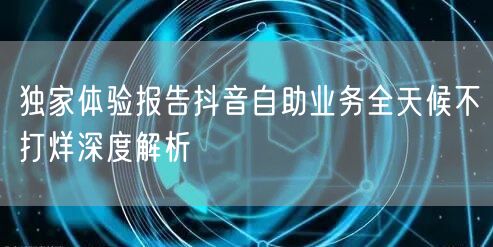 独家体验报告抖音自助业务全天候不打烊深度解析