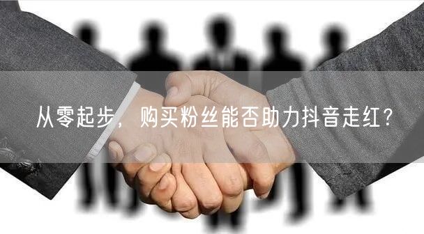从零起步，购买粉丝能否助力抖音走红？