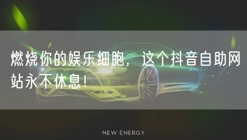 燃烧你的娱乐细胞，这个抖音自助网站永不休息！
