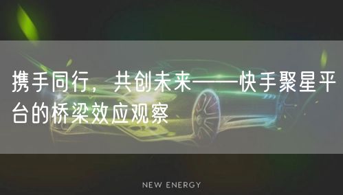 携手同行，共创未来——快手聚星平台的桥梁效应观察