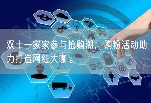 双十一家家参与抢购潮，购粉活动助力打造网红大咖。