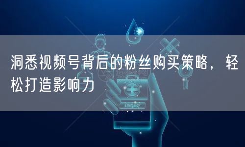 洞悉视频号背后的粉丝购买策略，轻松打造影响力