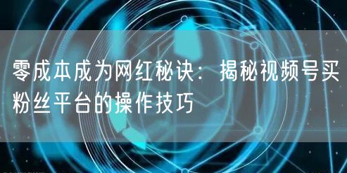 零成本成为网红秘诀：揭秘视频号买粉丝平台的操作技巧